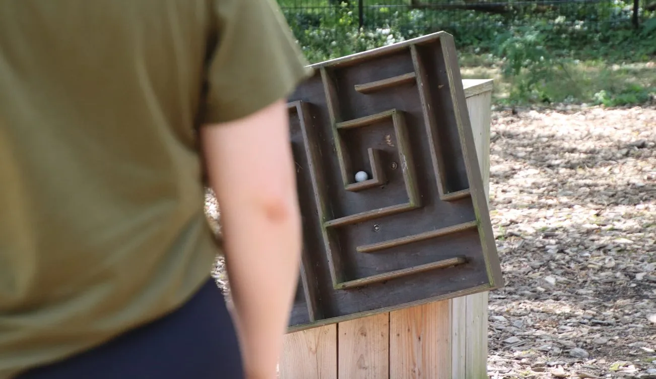 Draaischijf-Expeditie-Robinson