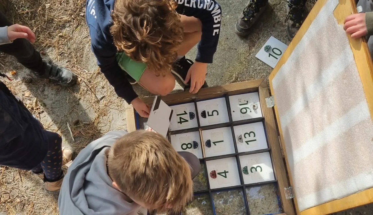 Schoolvakantie-Buitenweek