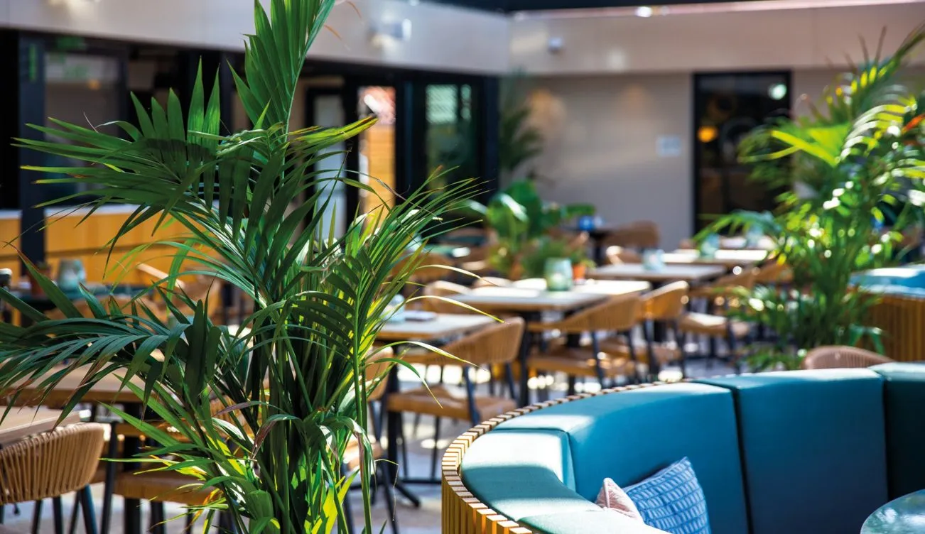 Strandhuys-serre-beachclub